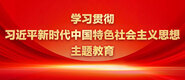 嫩嫩的学生妹子与大鸡吧国产学习贯彻习近平新时代中国特色社会主义思想主题教育_fororder_ad-371X160(2)